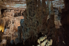 IMG_20240406_140150