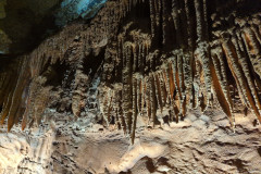 IMG_20240406_140629
