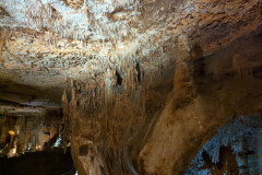 IMG_20240406_141539