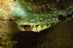 IMG_20240406_143628