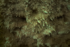 IMG_20240406_143646